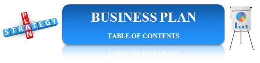 411 business plan